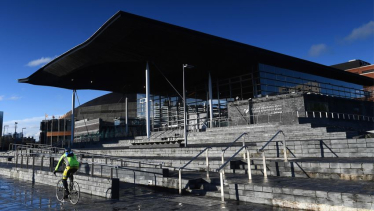 senedd